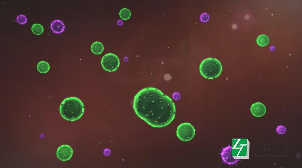  青岛三维动画制作为医学动画制作